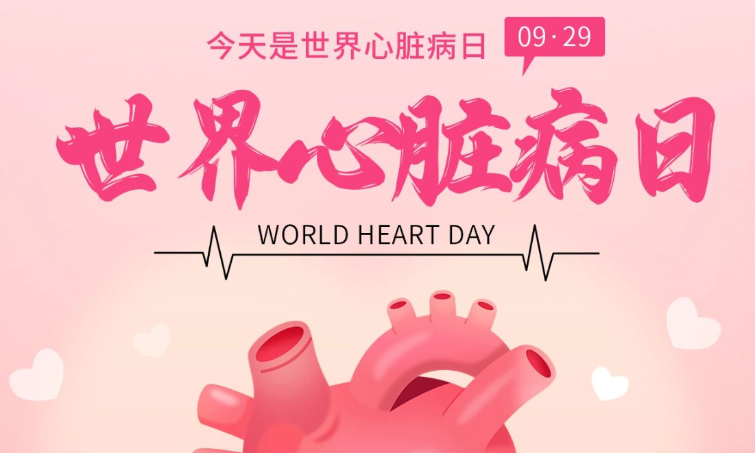 2025世界心脏日：Don't miss a beat律动不息，创新不止