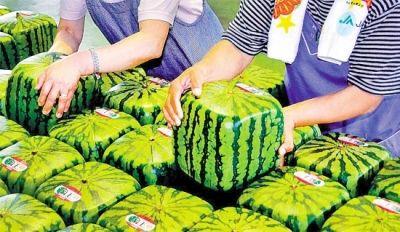 888腾博会-诚信为本,专业服务